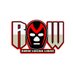 RMW Lucha Libre (@LuchaRmw) Twitter profile photo