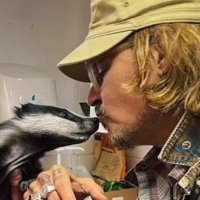 🏴‍☠️Proud Depp Warrior💜(@Innocent_Depp) 's Twitter Profile Photo