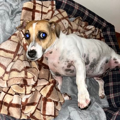 TurquoiseJit's profile picture. 