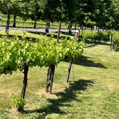 ksy_ksy55's profile picture. 