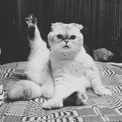 mio__musiclife's profile picture. 洋楽垢｜𝟗𝟒(𝟐𝟗)｜𝘚𝘸𝘪𝘧𝘵𝘪𝘦👱🏻‍♀️💖｜𝟭𝟵𝟴𝟵×𝟭 ｜𝙏𝙝𝙚 𝙀𝙧𝙖𝙨 𝙏𝙤𝙪𝙧 ➫ 𝟮/𝟵 🏟️⟡｜無言フォロー失礼します🙇‍♀️