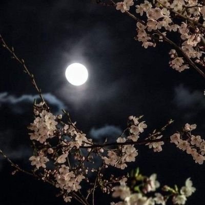 mrys387598's profile picture. 