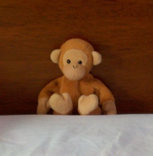 Monk1277's profile picture. He's just a little monkey, he will not hurt you......
