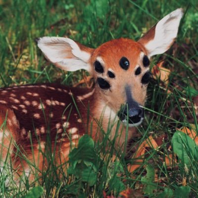 sybnee's profile picture. your god speaks through me
