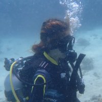 tea #SaveOurSeas (@progveritea) 's Twitter Profile