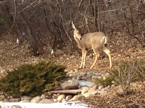 jac898's profile picture. 