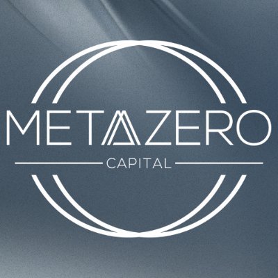 MetazeroCapital's profile picture. Investing in the dynamic landscape of digital assets with a thesis-driven strategy.