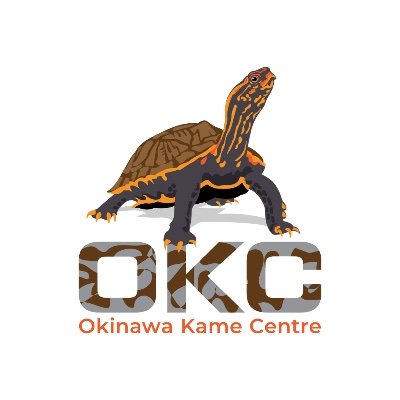 沖縄の淡水ガメとその生息地を保全
We protect and conserve wild freshwater turtles, and their habitats, on Okinawa Island. 
許可を得た調査　Permitted research