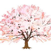 ❀ (@yuki_asami_h) 's Twitter Profile