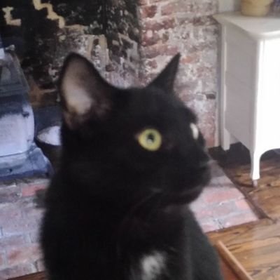 qtessa2's profile picture. Not woke