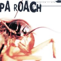 Roach Tales(@weirdthots2) 's Twitter Profile Photo