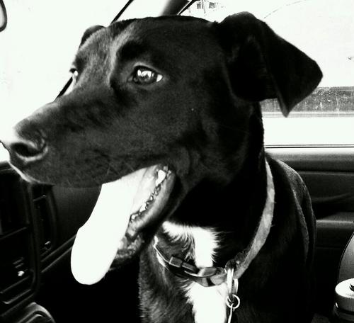 GeneMangum's profile picture. 