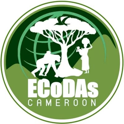 ECoDAs works to reverse biodiversity loss, advance sustainable land use, and secure the rights and livelihoods of indigenous and forest communities in Cameroon.