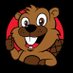 Little Calumet Beavers (@BeaversBeisbol) Twitter profile photo