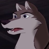 Dusty (@mailteamdusty) 's Twitter Profile