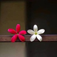 سّ ٓٓ ..❤️🤍 (@smaii_9ii) 's Twitter Profile