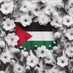 🇵🇸 Kurir Langit 🌜 ست نحري اسني (@nahariaasruddin) Twitter profile photo