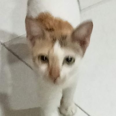 iesp25_'s profile picture. life as anak ekonomi pembangunan