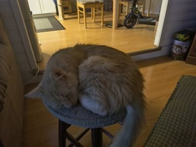 SLSkids's profile picture. 