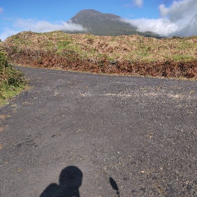 N684977's profile picture. 