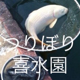kisui_en's profile picture. 岐阜県各務原市で鯉のつりぼりを営んでおります。初心者から上級者・老若男女問わず,ご来店頂いた全てのお客様が楽しんで頂けるつりぼりを目指し日々奮闘中です。