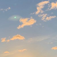 柚音(ゆのん) (@yunon_trhk_) 's Twitter Profile