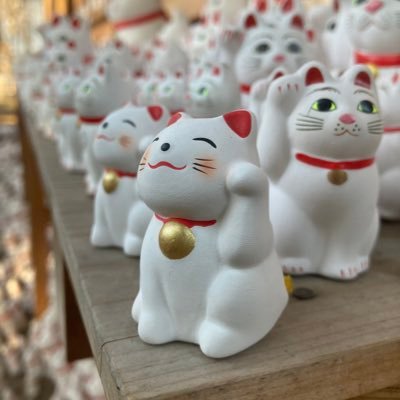 7wP1Mff9Kl10140's profile picture. 文系出身'24年卒でSIerにてSE。筋トレで心身を鍛え上げてます
映画好き