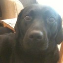 Daniel Sugden - @suggy1985 - Twitter