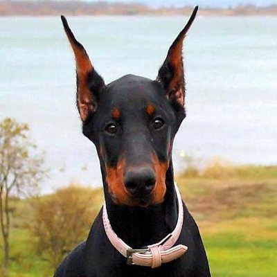 marcin874's profile picture. 