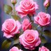 rana mm (@ranamm596723) Twitter profile photo rana mm (@ranamm596723) Twitter profile photo