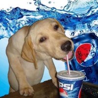 mozzyno (@mozzynofr) 's Twitter Profile