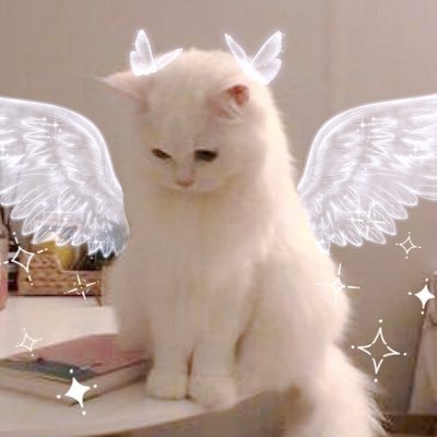 bbbaitoeii's profile picture. #TEN | @NuNew @ZeePruk