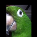 Kate Roden - @KateRoden123 - Twitter