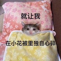 q aq (@qaq0314) 's Twitter Profile
