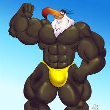 shahreza100's profile picture. .