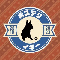 猫まみれ生活なボステリ(@komachi_2018) 's Twitter Profile Photo