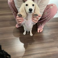 そらポケ (@sorapoke111) 's Twitter Profile