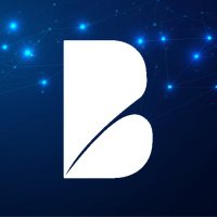 Bridgevest Capital(@bridgevestzw) 's Twitter Profile Photo