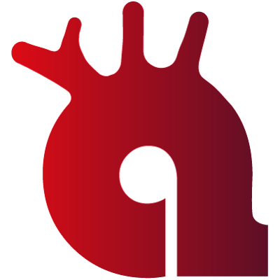 Meeting place for professionals interested in Aortic Diseases
Project developed by international expert: Artur Evangelista
Updates, interviews, clinical cases