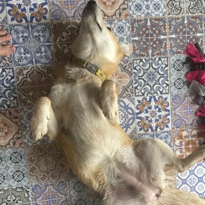 kaiiii_ii_'s profile picture. 