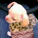 Kayla Goode - @KGoode4 - Twitter