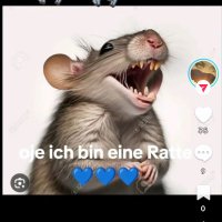 Andera64 (@andera6443644) 's Twitter Profile
