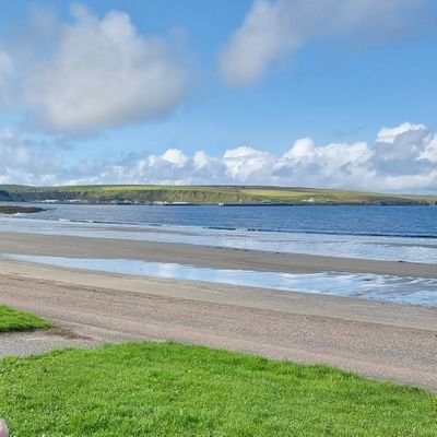 JohnCow08336223's profile picture. 