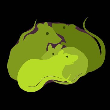 Solo indie game dev based in the Netherlands. Try mu current WIP here: https://t.co/ib0DjZxok0 22yo. They/them/theirs & he/him/his ratz4brainz.co@gmail.com
