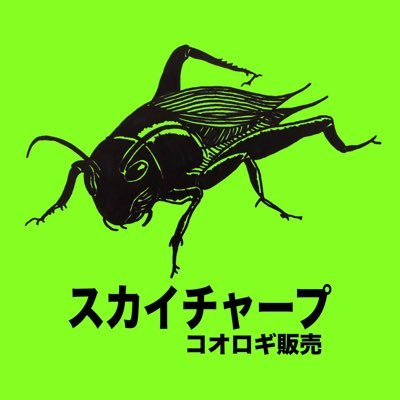 初めての冷凍餌・拒食の子も食べられる！ https://t.co/JiLsYO1aOl ←(コオロギ販売サイト)レオパ、クレス、カエルがバクバク食べる🐸栄養たっぷり感あるプリプリ🦗🦗 ご相談,特殊な注文, 企業様,ブリーダー様,大量注文などは DMからお気軽にご連絡ください。