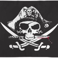 Pirate(@pirate1100) 's Twitter Profile Photo