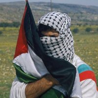 savvy 🇵🇸(@ayleho) 's Twitter Profile Photo