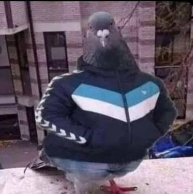 i_abdulsamad__'s profile picture. 