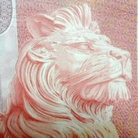 X772X.ETH (@john34064439) 's Twitter Profile