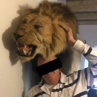 Boris (@borisuithetbos) 's Twitter Profile